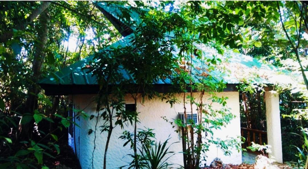 Villa Kim'S Garden Anda  Exterior foto