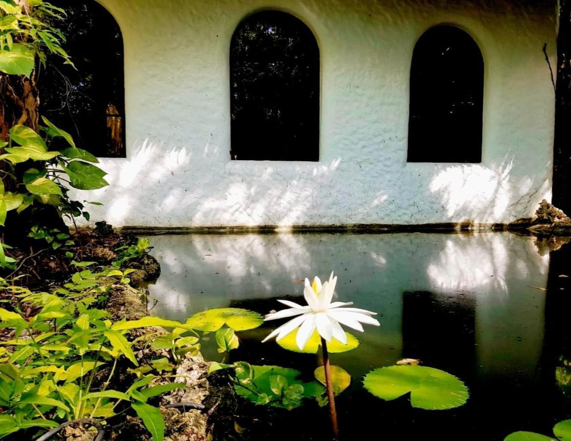 Villa Kim'S Garden Anda  Exterior foto